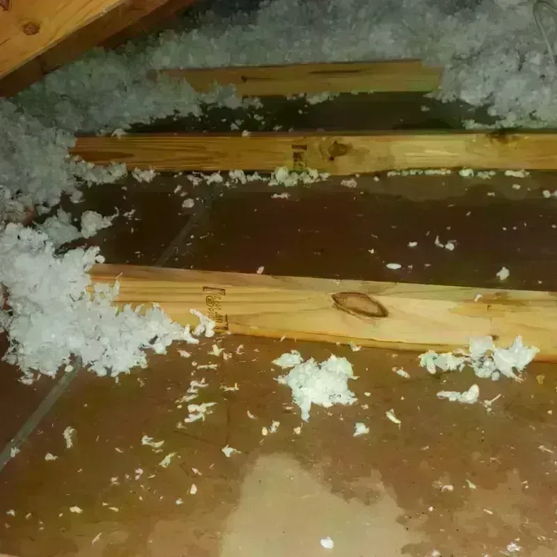 Attic Water Damage in Cedar Springs, MI