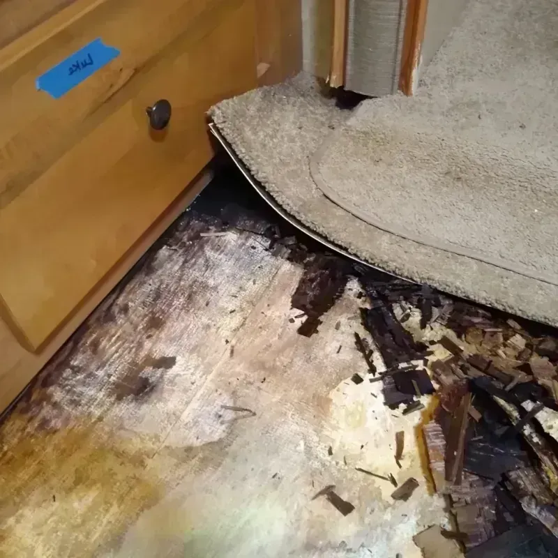 Wood Floor Water Damage in Cedar Springs, MI